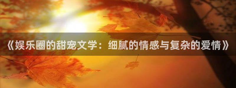 长征娱乐平台注册