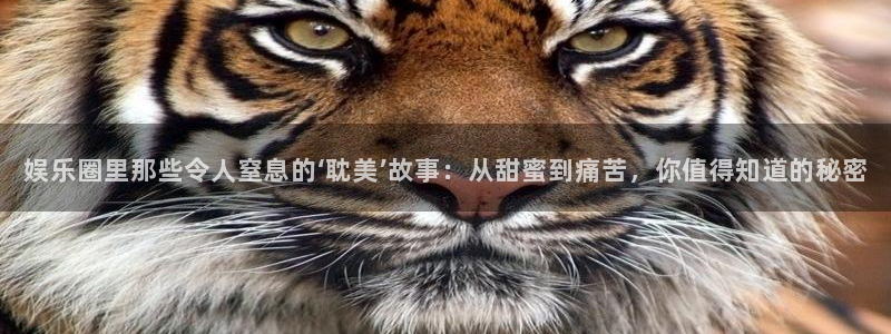长征娱乐平台注册