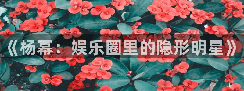 长征娱乐