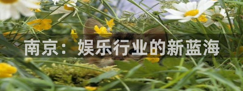 长征娱乐平台
