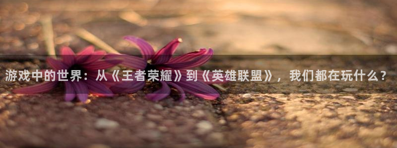 长征娱乐主管