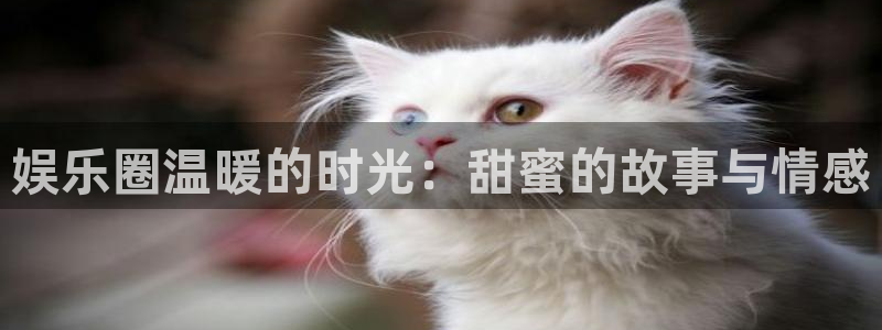 长征娱乐平台